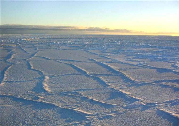 The Antarctic sunlight illuminates the surface of sea ice, intensifying the effect of the fracture lines.